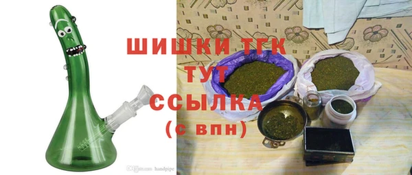 PSILOCYBIN Богданович