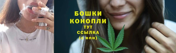 PSILOCYBIN Богданович