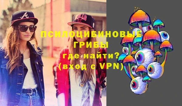 твердый Богородицк