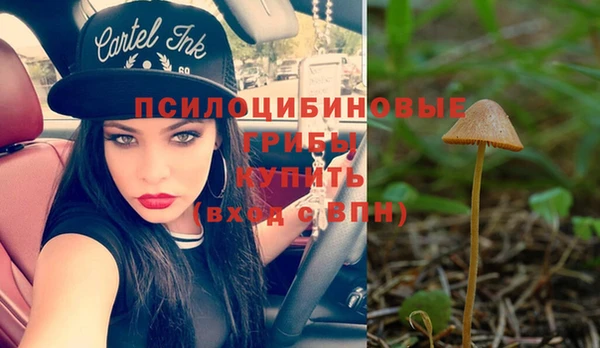 твердый Богородицк