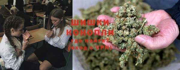 твердый Богородицк