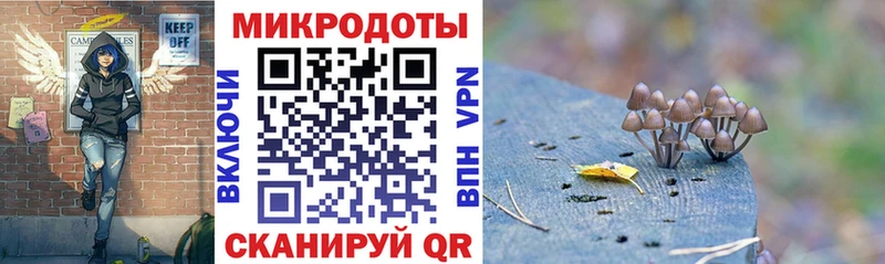 Псилоцибиновые грибы Psilocybine cubensis  гидра вход  Санкт-Петербург  хочу  
