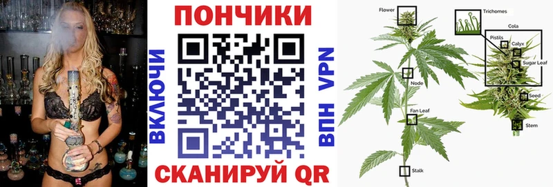 Шишки марихуана SATIVA & INDICA  Санкт-Петербург 
